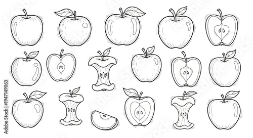 Set of Hand Drawn Apple Illustrations