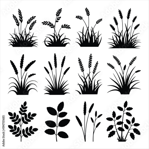 Black Botanical Grass and Wildflower Silhouette Set for Nature and Floral Graphic Design