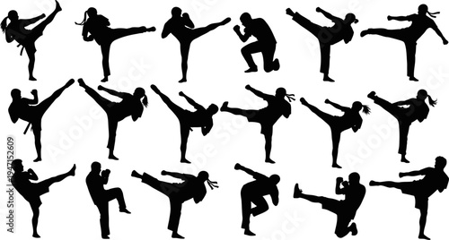 Collection of martial arts poses and movements in various kicking and punching stances