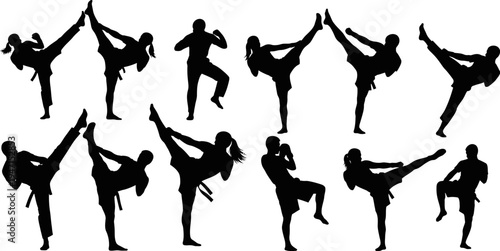 Silhouettes of people practicing various martial arts kicks and poses in different stances and movements