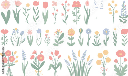 Colorful illustration of various flowers on white background for spring and summer designs