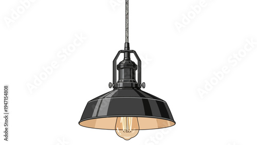 Black Pendant Light Fixture.