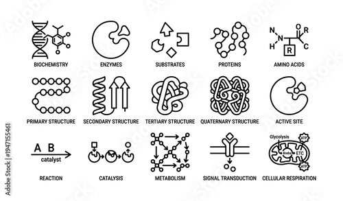 Biochemistry process icons: enzymes, proteins, structures, catalysis, cellular respiration