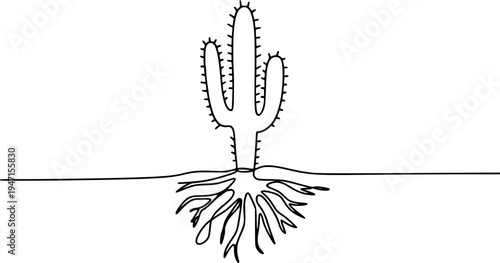 Minimalist black line of a saguaro cactus with visible roots a white background desert