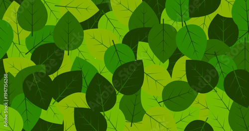 sfondo, foglie, foglia, natura, vivaio, piante,