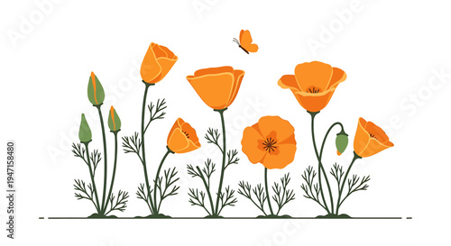 Vibrant orange poppies, from buds to full bloom, create a cheerful garden illustration with a fluttering butterfly, symbolizing nature's beauty and fresh growth in spring