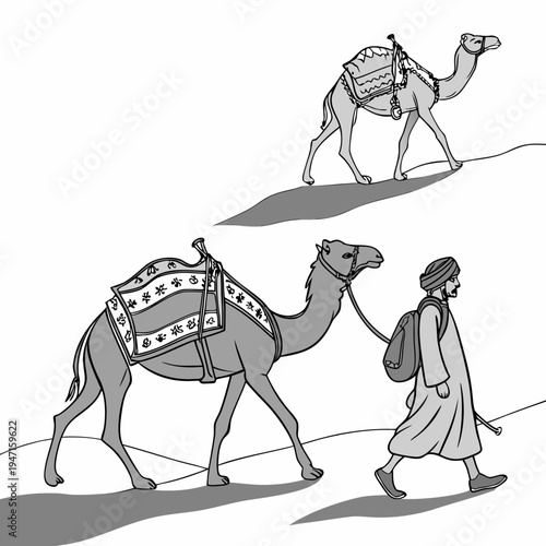 Gray of man walking camel with another camel following