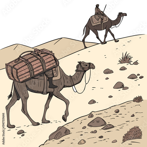 Two camels walking on desert sand with rocks and sparse vegetation