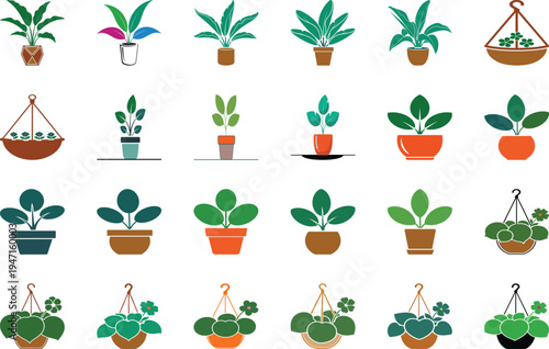 Indoor potted houseplant vector illustration set with decorative plant pots