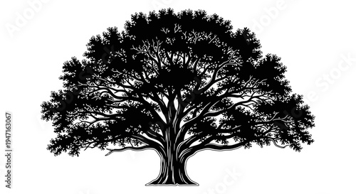 Detailed silhouette of a large sprawling tree with dense foliage.