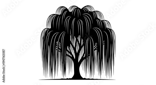 Black silhouette of a weeping willow tree with drooping branches and leaves.