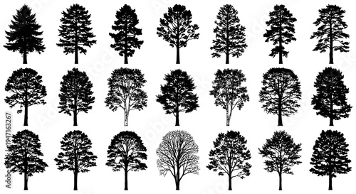 Collection of diverse black silhouette tree shapes with detailed branches and foliage.