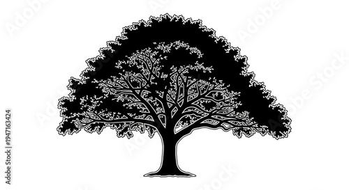 Silhouette of a large spreading tree with detailed branches and leaves.