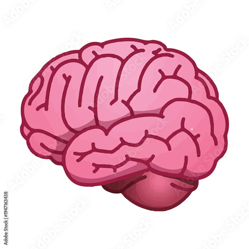 Brain illustration