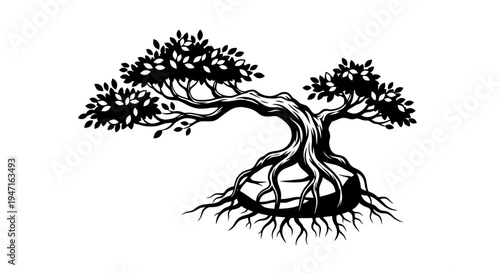 Stylized black and white illustration of a bonsai tree with exposed roots.
