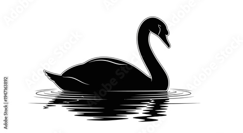 Silhouette of a black swan swimming on water with reflections.