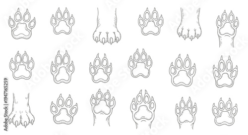 Set of Hand Drawn Animal Paw Prints and Footprints