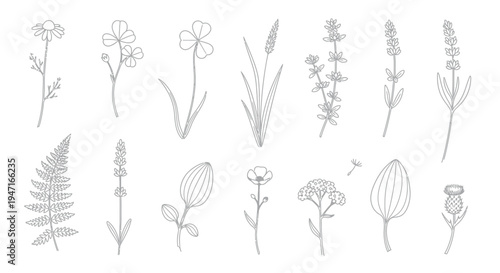 Collection of delicate black and white line art drawings featuring various wild meadow herbs and botanical elements for crafting projects.