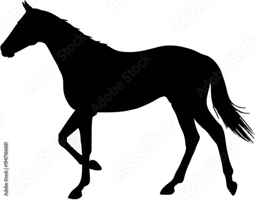 Thoroughbred Racehorse Silhouette – Flat Vector Plotter Cut File