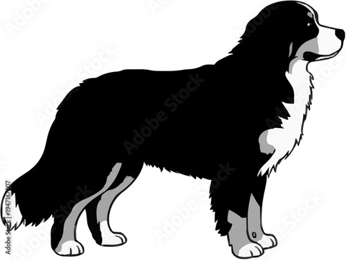 Bernese Mountain Dog Silhouette – Flat Vector Plotter Cut File
