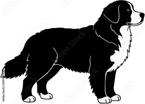 Bernese Mountain Dog Silhouette – Flat Vector Plotter Cut File