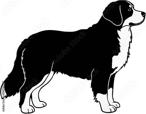Bernese Mountain Dog Silhouette – Flat Vector Plotter Cut File