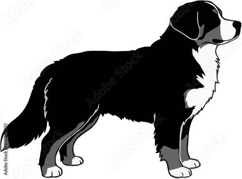 Bernese Mountain Dog Silhouette – Flat Vector Plotter Cut File