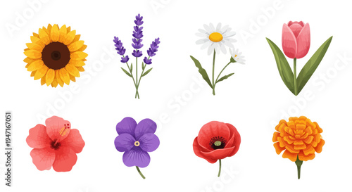 Colorful floral arrangement on white background