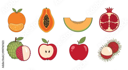 Colorful fruits isolated food illustration