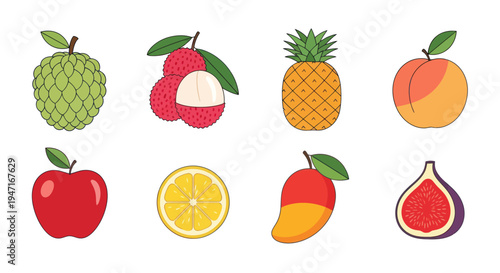 Colorful fruits illustration on white background