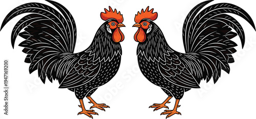 Symmetrical rooster illustration vector art black and white with red combs wattles orange beaks legs dramatic tail feathers bold color contrast artistic design