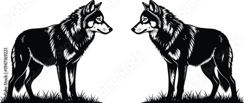 Symmetrical wolf illustration with detailed fur patterns and alert expressions facing each other black and white design representing nature duality confrontation balance 