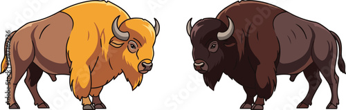 Two majestic American bison vector illustrations featuring detailed light and dark brown fur isolated on white background perfect for wildlife design and nature projects