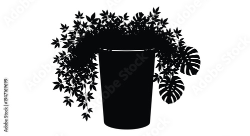 Potted plants with lush foliage create a striking black silhouette