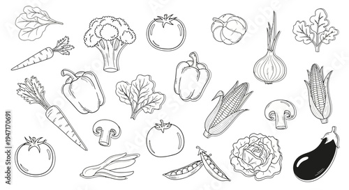 Hand Drawn Vegetable Collection Set