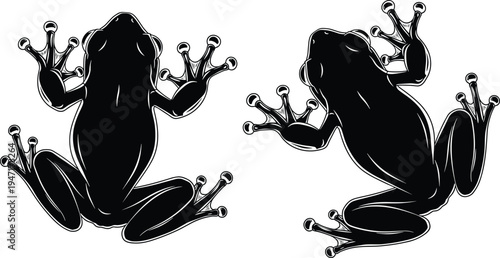 Stylized black silhouette frog illustration viewed from above with spread limbs and toe pads artistic amphibian design suitable for biology education nature and decorative concepts
