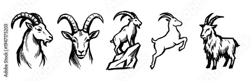 Goat illustrations in a hand-drawn sketch style depict various poses and perspectives of these horned animals.