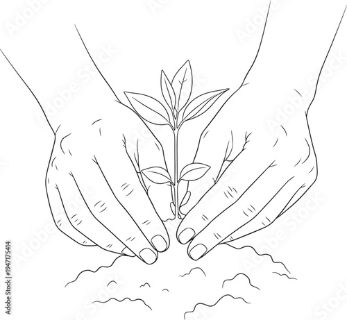 Hands gently planting a small green sapling