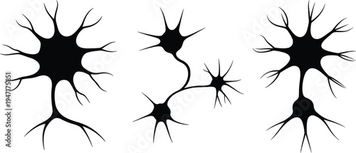Three Black Silhouettes of Neurons with Dendrites and Axons on White nerve cell brain cell