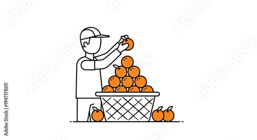Man picking oranges from a basket in a simple flat design isolated on white background