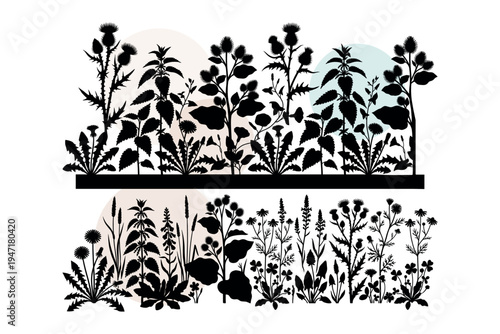 Vector set of tall stinging nettle and burdock weeds with thistle flowers. Detailed botanical outlines for garden maintenance and wild plant concepts. Black vector illustration design