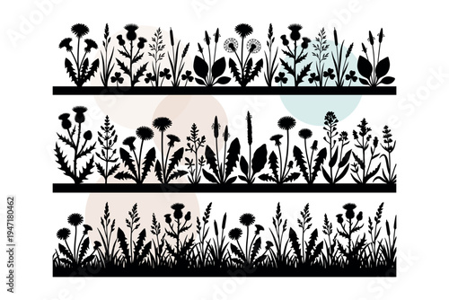 Obraz na płótnie Vector set of wild meadow plants with dandelions thistles and clover