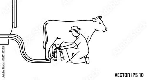 Man milking cow with machine on farm, flat vector line drawing isolated on white background