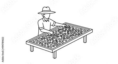Man drying coffee beans on a table in a flat line style isolated on white background