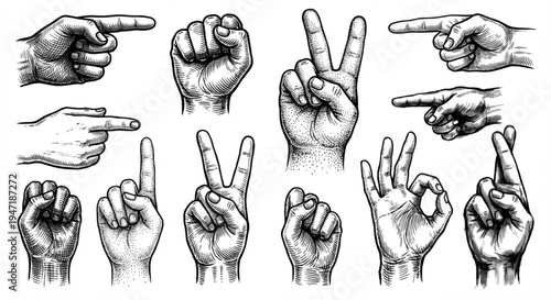 A rich collection of expressive vintage engraved human hand gestures, depicting various forms of non-verbal communication and symbolic messages