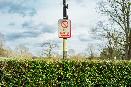 Generic No Parking sign attached to a post located at the other side of a prevent hedge in the UK. The road is narrow so no vehicles can park along the road.