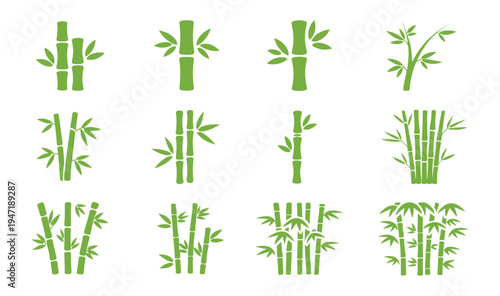 A collection of green bamboo stalks and leaves in various shapes and sizes on transparent background