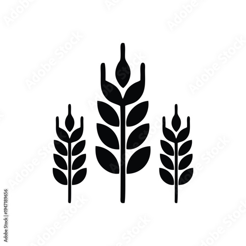 Wheat Ears Agriculture and Organic Food Grain Silhouette Vector
