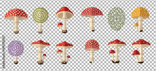 A collection of various colorful mushrooms and fungi illustrations on display