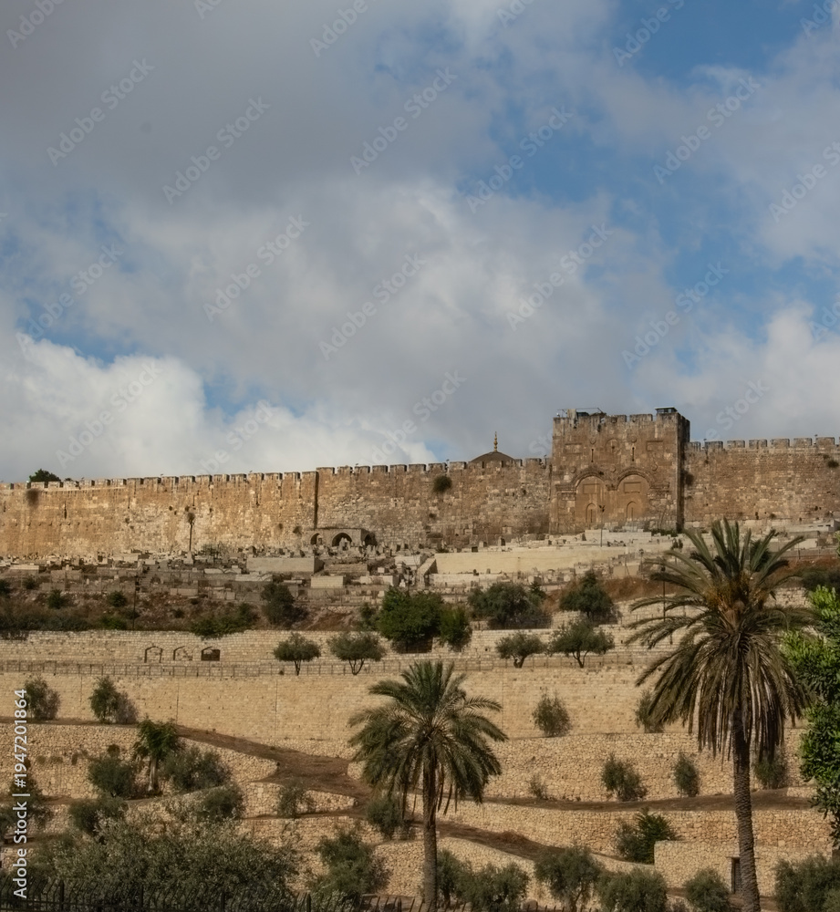 Fototapeta premium Old City Walls of Jerusalem with Olive Trees and Palm Trees